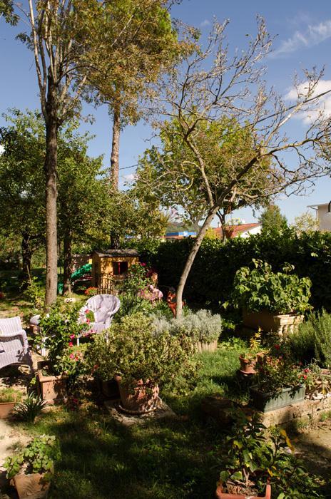 Rose E Merletti Guest House Sasso Feltrio Exterior photo